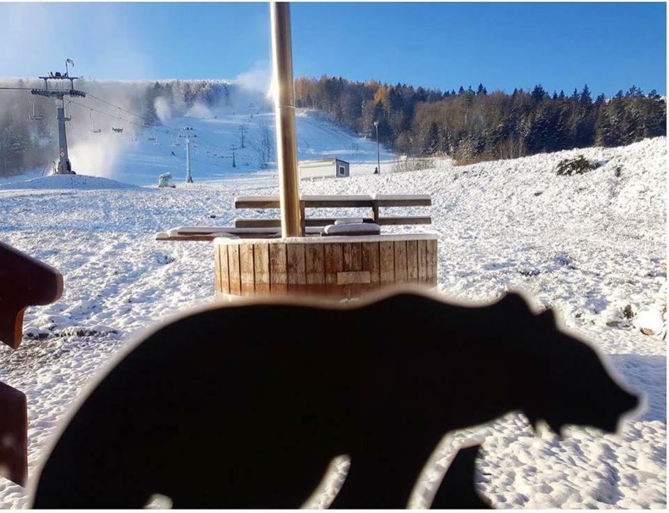 Pensjonat Laworta Ski Ustrzyki Dolne Exteriér fotografie